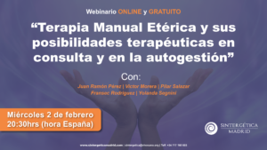 Cartel Sintergética webinario gratis